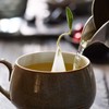 Tea Forte Herbal Retreat Organic Caffeine Free Premium Herbal Tea