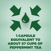 2 Pack of Buscomint Peppermint Oil 0.2ml Gastro Resistant Treatment,