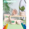 vensovo 3.7 Inch Pink Terracotta Shallow Succulent Pots - 6