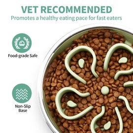 Stainless Steel Slow Feeder Dog Bowl, Bestalk 2-in-1 Metal Dog Bowls with Silicone Slow Feeder Insert for Small, Medium, Large Dogs(Green,2 Cups)