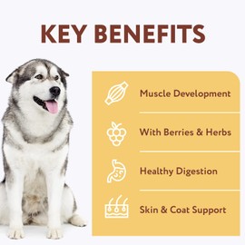 OPtimeal Grain-Free Dog Food - Proudly Ukrainian - Balanced Dog Food Dry Recipe with Immunity Support, Non-Grain Dry Dog Food for All Dog Breeds (3.3 lbs, Chicken & Veggies)