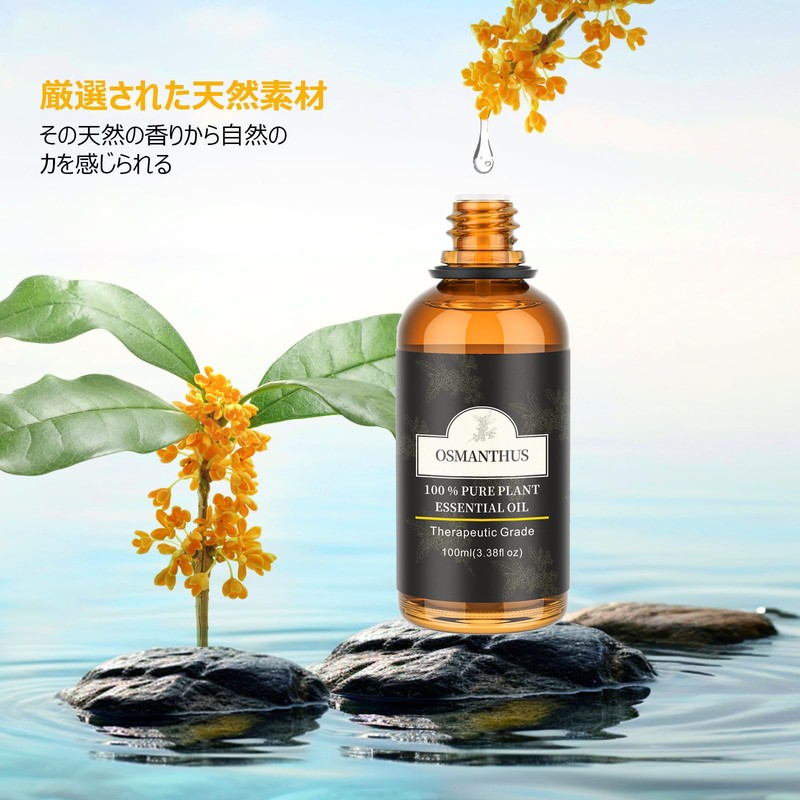 Aroma Oil, 3.4 fl oz (100 ml), Golden Oyster Dropper