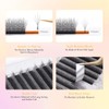 NAGARAKU 5D Lashes, W Shape Eyelash Extensions VERSION 3.0 Soft
