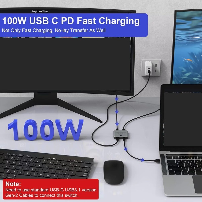 Snblzhef Switch Splitter Two-Way Switcher for8K@60Hz/4K@144Hz Video Transfer 100W USB