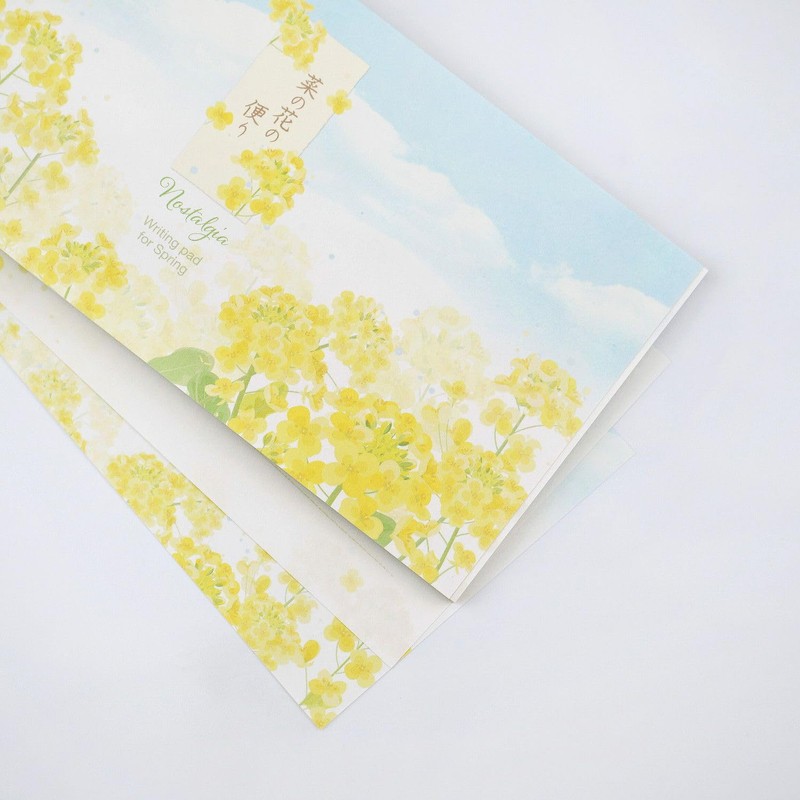 Frontier Single Brush Nanohana Mp - 573 | Letter Set