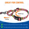 Kazazoo Martingale Collar for Dogs with Quick Release Buckle Adjustable