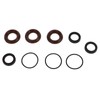 9pcs Rubber Pressure Washer Pump Seal Kit for Annovi Reverberi