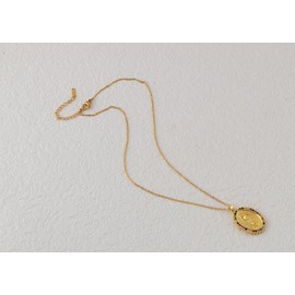 Alilang 18K Gold Plated Crystal Rhinestone Virgin Mary Catholic Necklace - Our Lady of Guadalupe Medal Pendant - Christian Jewelry for Women and Men, Multi Gold