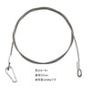 DFsucces Security Wire, Fixing Wire, Cable, Fall Prevention, Load Capacity: