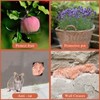 Copper Mesh Rodent Control,Rodent Proof Copper Wire Mesh,Copper Mesh Roll