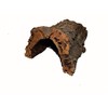 SAHAWA® Cork Bark Tunnel Tree Trunk Tunnel Length Approx. 30