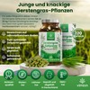 Vimion VIMION Barley Grass Juice Powder - 120 Capsules -
