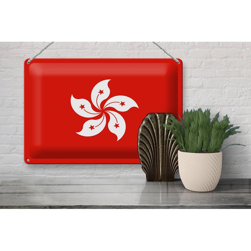 FEMER Blechschild Flagge Hongkong 30x20cm Flag of Hong Kong