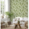 Tommy Bahama - Peel and Stick Designer Wallpaper, Premium Tropical