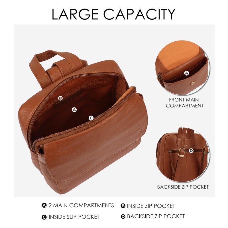 Lloyd Baker Backpack Farit: Sophisticated Small to Medium-Sized Versatility Leather
