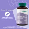 PRONAT Cranberry Concentrado de Arndano, Suplemento Alimenticio, con Vitamina C