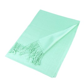 TZ Promise Women's Pashmina Shawls and Wraps for Evening Dress Soft Wedding Bridal Winter Warm Long Large Scarves (Mint)