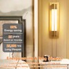 Vinaco T10/T30 LED Edison Bulb, 2 Pack Dimmable No Flicker
