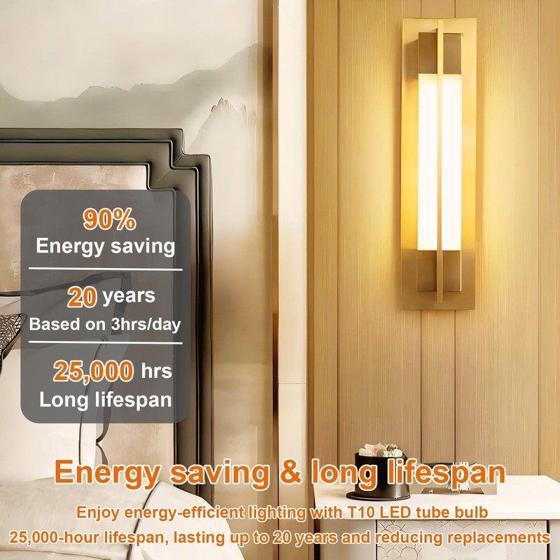 Vinaco T10/T30 LED Edison Bulb, 2 Pack Dimmable No Flicker