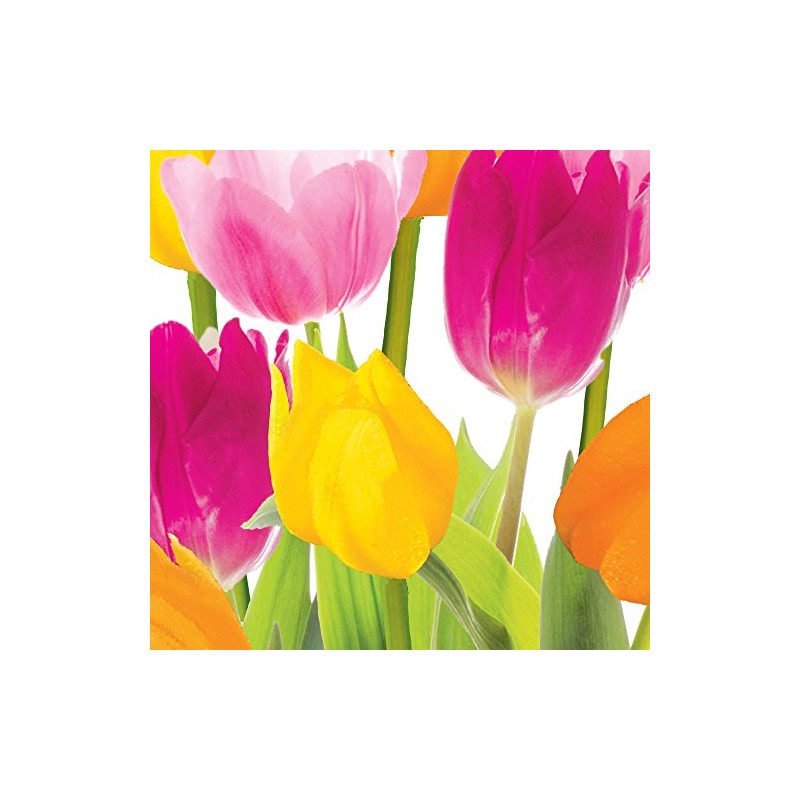 Creative Converting 18 Count Lunch Napkins, Tulip Time
