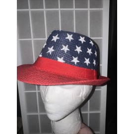 Unbranded RED WHITE BLUE USA July 4th Stars Patriotic Straw brimmed Fedora Hat