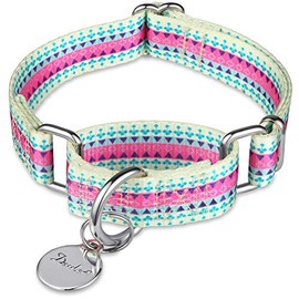 Dazzber Martingale Collars for Dogs, Adjustable, Heavy-Duty, Soft, Smooth, Easy Dog Walking, for Large/Small Dogs