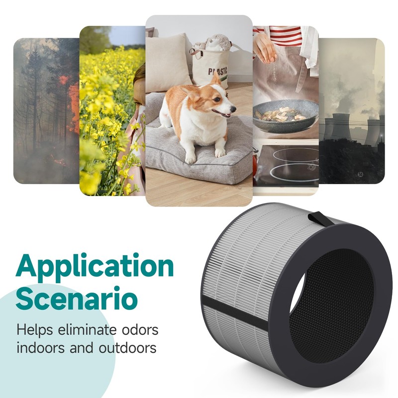 PuriCare 360 Filter Compatible with LG PuriCare 360 Purifier, AS560DWR0