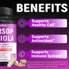 CIVIMUNA Wormwood Capsules with Wormwood, Black Walnut Leaves, Quassia and