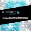 5 Gum Winter-Mint Ascent Sugar-Free Gum, 15 Count (Pack of