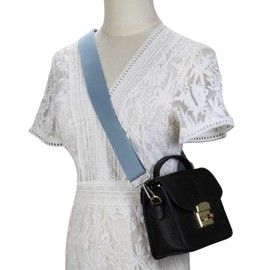 Allzedream Handbag Strap Adjustable Replacement Shoulder Bags Wide Bag Straps (Light Blue/Silver Hardware)