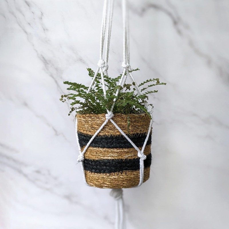 Robert Frederick Luxe Décor Macrame Hanging Planter Kit