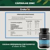 Zinc Con Vitamina C Y Jengibre 500mg - 90 Cápsulas