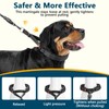 Crazy Felix No Pull Martingale Collar for Large Medium Small