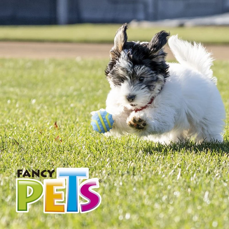 Fancy Pets Pelota Fetch Spiky Color Azul Tamaño Chico para