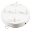 Creative-Cables 5 Holes White Cylinder Rosette Kit, bracket, screws and