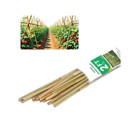 2ft Natural Bamboo Plant Stakes for Tomatoes, Beans, Flowers, Potted, Climbing Plants 25pcs