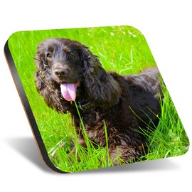 1 x Square Jumbo Size Coaster 12cm Irish Water Spaniel Dog Breed Puppy Cork Backed MDF Glossy Tea Coffee Accessory #51234