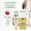 Planter's BB Cream and Primer Filler 40 ml