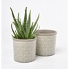 Burgon & Ball Tuscany Ceramic Indoor Planter - Pale Grey,