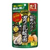 ウコンサプリメント【しじみの入った牡蠣ウコン 胃の乳酸菌+PLUS 30日】乳酸菌LJ88 オルニチン クルクミン 牡蠣エキス【井藤漢方製薬】