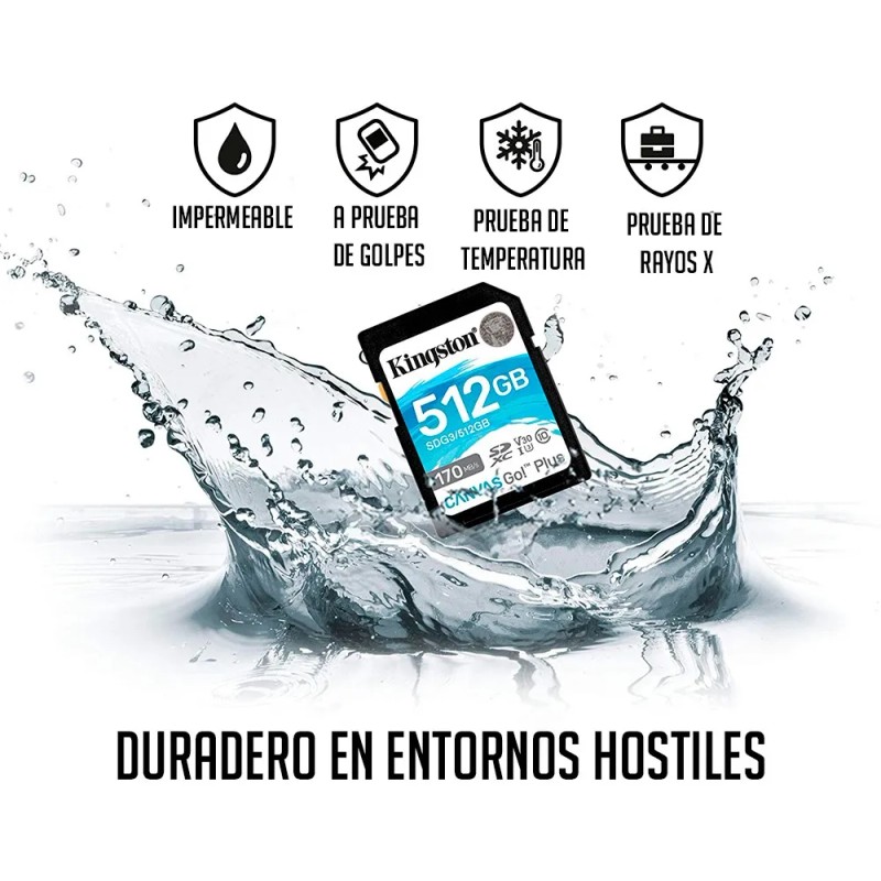 Memoria Sd 64gb Kingston Canvas Go Plus C10 U3 V30