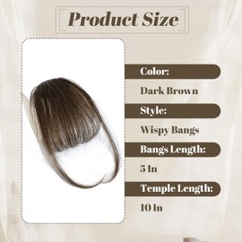 Clip-In Bangs 100% Human Hair - Undetectable Wispy/Curved Fringe with Temple Hair for Women (Dark Brown)