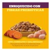 Pedigree Pancita Saludable Pollo Y Camote Sobre Adulto 100g