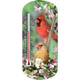 Taylor Cardinal Window Thermometer