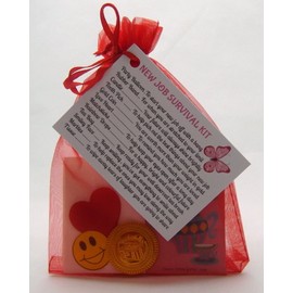 New Job Survival Kit Gift For New Job, New Career Leaving Present Thank You by clever little gifts (Radiant Red) (Radiant Red)