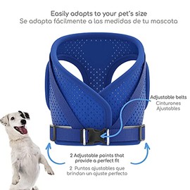 MASCRETTA Set de Correa y Arnés para Perro Chico o Gato con diseño cómodo Que no daña el Cuello y Pecho de tu Mascota. Pechera para Perro Chico con Correa de Paseo Resistente. Dog Harness (Azul, M)