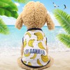 Peukialt Dog Clothes, Spring & Summer, Autumn, 3 Pieces, Cute,