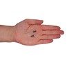 SKIR'CO Pack of 500 Painted Blind Rivets 3.2 x 8