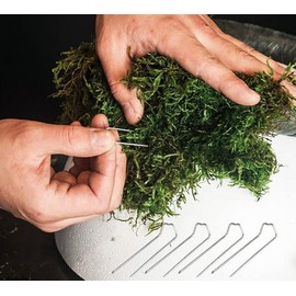 150Pcs Floral Pins U Shaped Pins, 1.8 Inch Greening Pins for Foam Wreaths Bouquet Plants Fern Moss Pins Metal Craft Picks