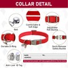 GAMUDA Small Pet Harness Collar and Leash Set, Step in
